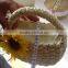 fashion design corn husk material ECO-friendly mini lady hand bag