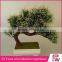 Good quality artificial plants outdoor plant for interior decoration
