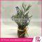 Hot sale china manufacturer home decoration desk potted flowers for wedding hanging home wall decoration