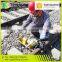 ZG-32 Iso/ce certificated railway affordable drill rig equipment