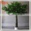 Fiber glass model tree factory wholesale Artificial decorative tree stumps To Canada