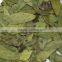 Cal.Sennosides Extract