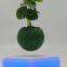 led light magnetic floating levitating bottom air plant tree potted