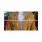 LADIES KAFTAN, FARASHA, TAKCHITA SWAALI DESIGN NO.50