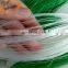 Thailand plastic mesh 20*20 plant support net for long beans