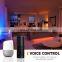 2020 Hot sell IR remote smart WiFi APP google assistant Amazon Alexa sound sync music control RGB led controller