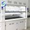 Lab Furniture PP Material Fume Hood