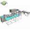 Small Chick Weighing Egg Grading Machine Grader Egg Classification Machine Egg Grading Sorting Machine
