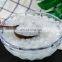 Cheap Bulk Tasteful Nata De Coco Coconut Jelly Fruit Jelly Pudding With Free Logo Printing