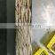 Good quality frozen precooked bonito tuna loin for export