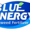 Qingdao Blue Energy Plant Nutrition Co., Ltd