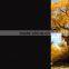 PET material black opaque glass film,privacy protection window film