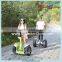 2015 Hot Sell Price 2 Wheel Balance Scooter China two wheels electric chariot
