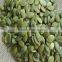 Wholesale Pumpkin Seeds Carving Kit