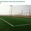 Durable Field PE Artificial Grass Turf with FIFA License