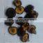 Vacuum Fried Dried Vegetables Chips-VF dried mushroom Crispy