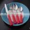 Camping Plastic Handle Stainless Steel Cutlery - KX-P049
