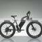 New Electric Bike With Fat Tyres for Snowy Road or Beach Supplied to Carrefour (HJ--34)