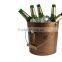Metal multipurpose decorative ice bucket or beach pail