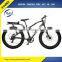 Beach Cruiser bike 48V/500W Fat Bike Mountain Electric Bike