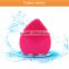 Handheld electric facial cleansing brush facial massage machine beauty ultrasound machines