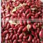 British Red Kidney Beans Crop 2015