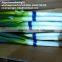fresh green Chinese long onion