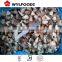 2016 Hot sale frozen shiitake mushroom with good price
