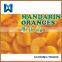 High quality canned mandarin orange in light syrup