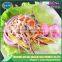 Salad maker,supplier,exporter