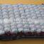 Supply China Garlic pack in 500g/sack,10kg /mesh bag of Fiji Market
