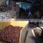 VIETNAM BEST QUALITY AUTUMN STAR ANISE