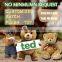 Aus lifelike mini dolls stuffed animal soft long plush baby gifts koala bear toy