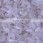 Artificial Rice Food Process Line Machine