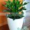 Modern Small Flower Pots For Crafts
