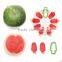 Pepo Watermelon slicer Fruit Serving Kitchen Dining make watermelon Natural Popsicles pepo slicer watermelon lollies
