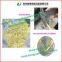 High Quality Fiber Chopper / Fiber Chopping Machine/Fiber Cutter /Fiber Cutting Machine