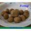 New Crop Canned Mushroom for USA