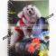Novelty Import Free Sample Custom Desig 3d lenticular journal notebook manufacturer From China