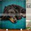 i@home 3d digital mildew resistant 100% polyester dog fabric shower curtain printing waterproof