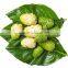 Rich quality Noni powder for sale