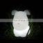 2019 New brightness adjustable remote control LED dog night light for kids children baby