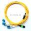 30M MPO/MTP Optic Patch cord  Single mode SM 9/125 G657A Fiber Patch cord MPO MTP 8core 12core 24core