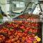 Customized supplier fruit and vegetable tomato paste processing line