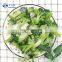 Sinocharm BRC-A Approved 3-6g IQF Broccoli Whole Frozen Broccoli For Cooking Noodles