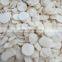 Sinocharm BRC A approved IQF Frozen Water chestnut slice