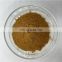 Top Quality Decumbent Bugle Herb Extract 10% Turkesterone Powder
