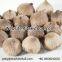 Halal Black Garlic Manufacturer