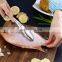 Fish Scaler Brush Fish Scaler Remover with Stainless Steel Sawtooth Easily Remove Fish Scales-Cleaning Brush Scraper