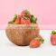 100% Natural Coconut Shell Bowl Wholesale in Bulk Coconut Salad Bowl Made in Vietnam